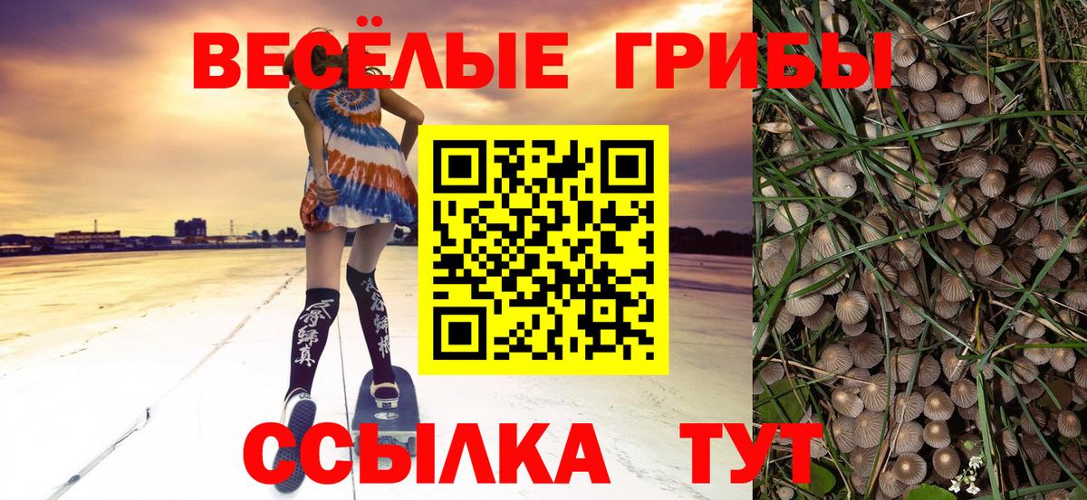 Новокубанск  Галлюциногенные грибы Psilocybe  Псилоцибиновые грибы Psilocybe  Вход с VPN 