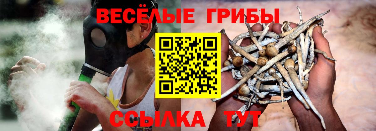 Псилоцибиновые грибы мухоморы Новокубанск